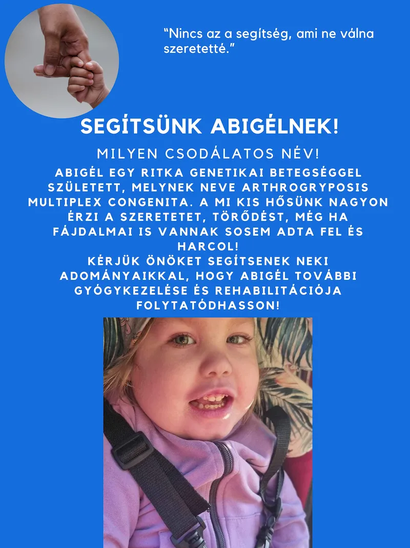 segitsumk abigelnek